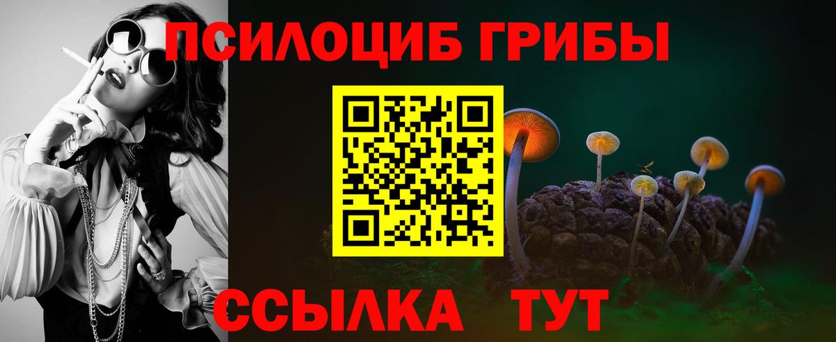 Псилоцибиновые грибы Psilocybe  Псилоцибиновые грибы Cubensis  Югорск  Вход с VPN 